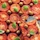 TomatenKuchen bot icon
